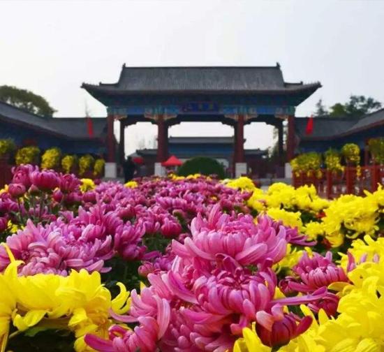 杭州公园菊展施工
